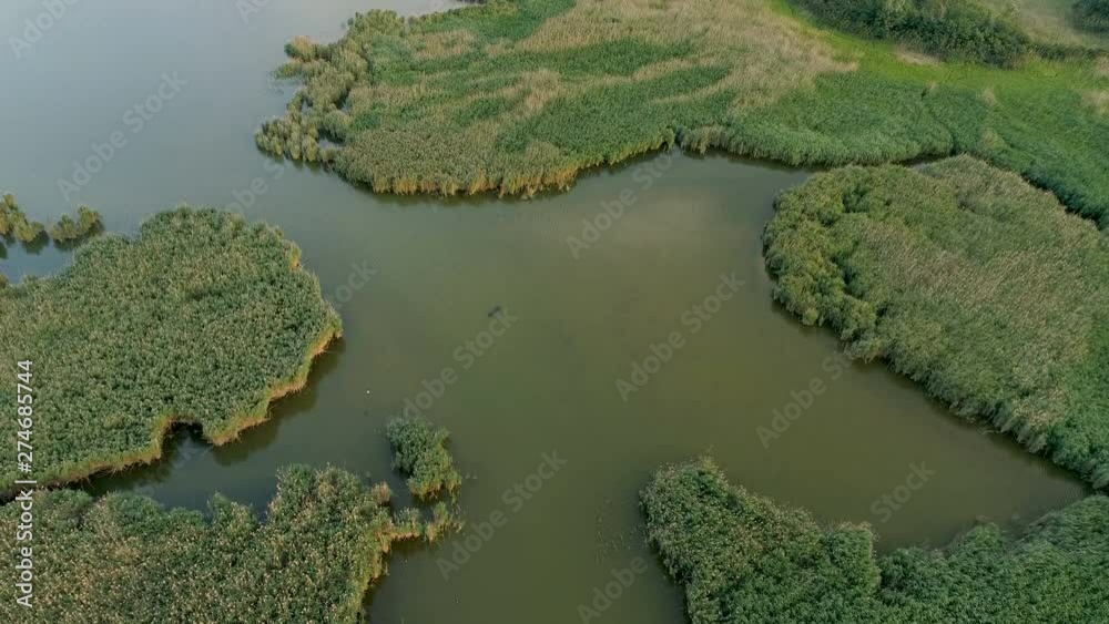 Swampy Lake On A Summer Day, Aerial Video 4K Swampy Lake On A Summer Day, Aerial Video 4K