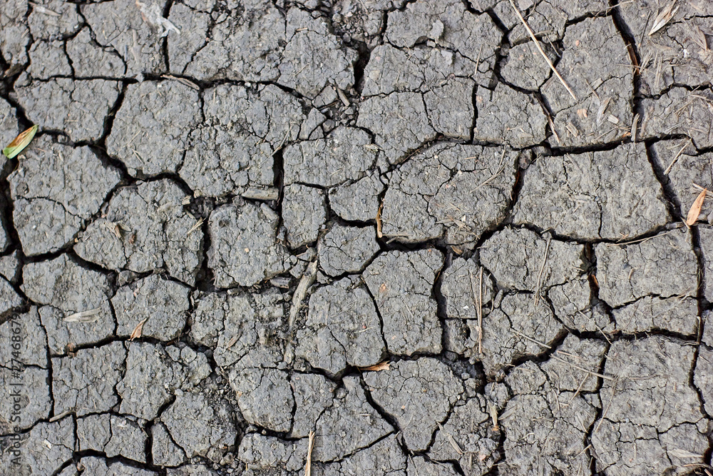 Surface of cracked earth for texture background, dried clay Surface of cracked earth for texture background, dried clay