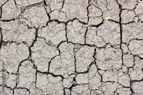 Surface of cracked earth for texture background, dried clay