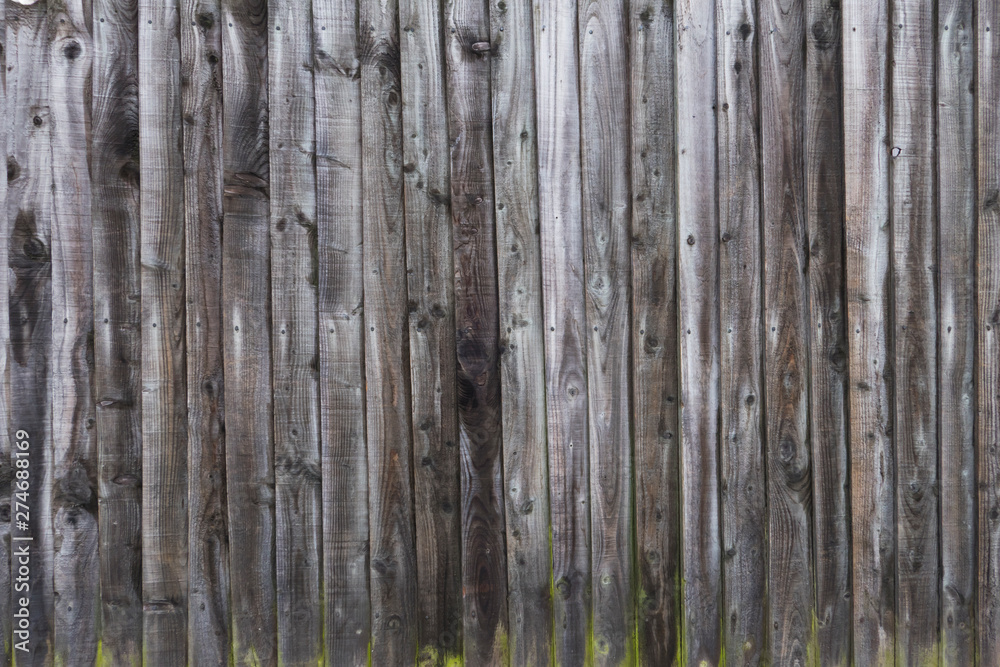 Fototapeta premium The old wood texture with natural patterns