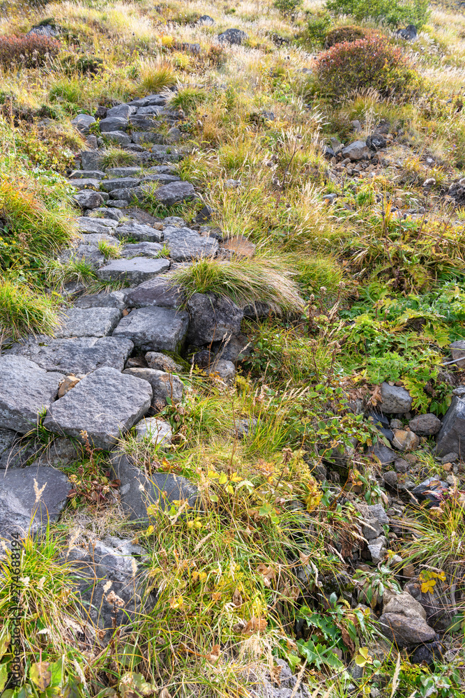 鳥海山の登山道と草紅葉 鳥海山の登山道と草紅葉