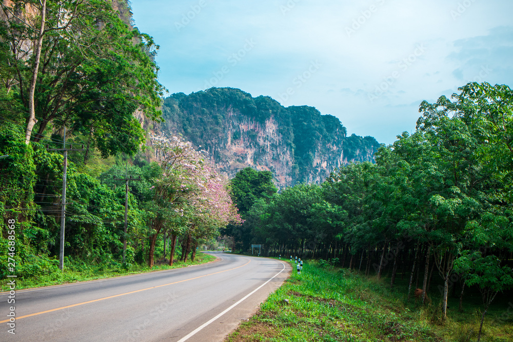 Nature and beautiful roads in Krabi,thailand