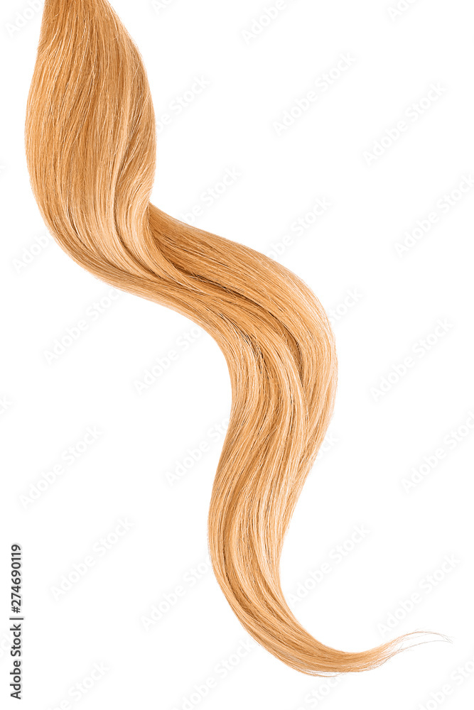 Blond hair isolated on white background. Long wavy ponytail