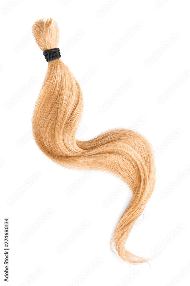 Blond hair isolated on white background. Long wavy ponytail Blond hair isolated on white background. Long wavy ponytail