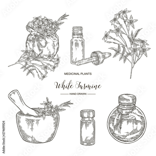 White jasmine set. Jasminum officinale flowers and leaves with textile bag, mortar and glass botlles. Medical plants hand drawn. Vector illustration engraved.