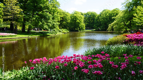 Stunning spring landscape, famous Keukenhof garden with colorful fresh tulips, Netherlands, Europe © Prf_Photo