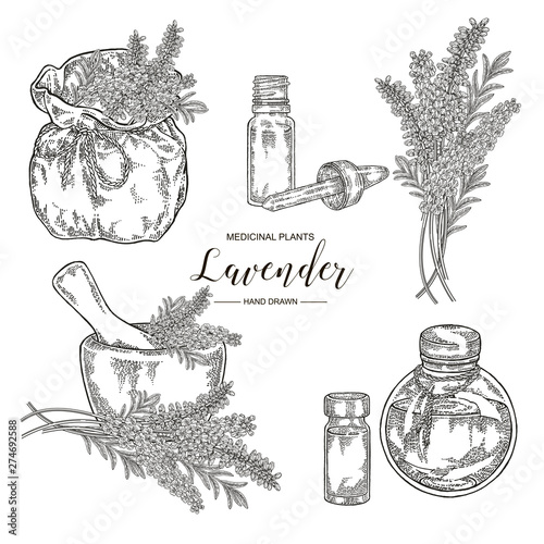 Lavender plant set. Flowers and leaves of lavender with rustic bag, mortar and glass bottle of oil. Medical herbs hand drawn. Vector botanical illustration. Engraving style