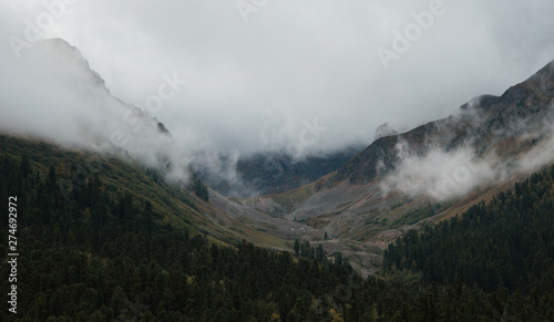 morning mist. Picturesque and magnificent morning scene. known resort area located in the valley. Glacier. in a low cloud with evergreen conifers shrouded in mist in a picturesque landscape © Dima
