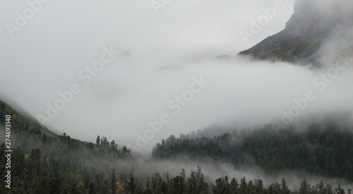 morning mist. Picturesque and magnificent morning scene. known resort area located in the valley. Glacier. in a low cloud with evergreen conifers shrouded in mist in a picturesque landscape