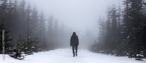 wanderer in an foggy winter landscape panorama