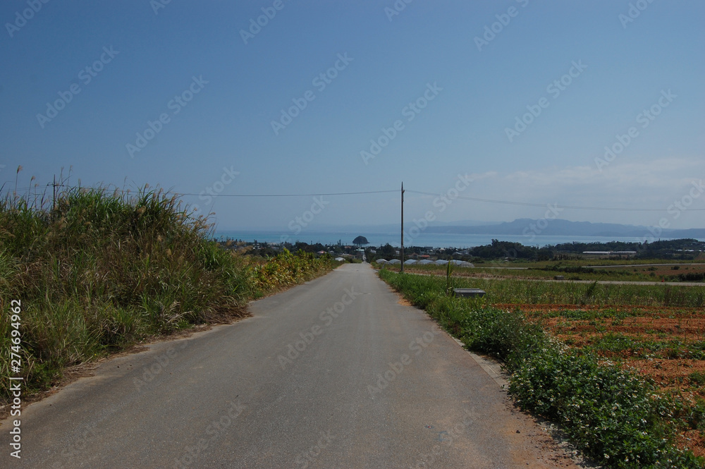 南国沖縄の田舎の海へ続く一本道