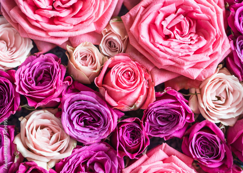 Background of various fresh pink roses. mixed rose bouquet for a wedding