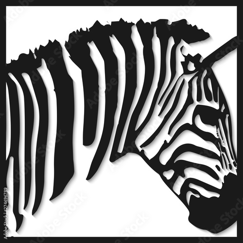 abstract image of zebra