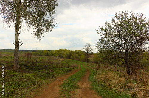 Country road, trees and field on the background of the cloudy sky