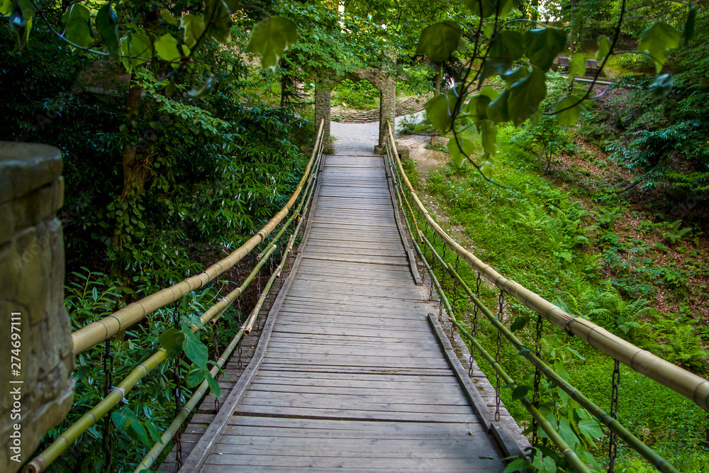 suspension bridge over a river in a tropical park suspension bridge over a river in a tropical park