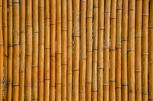 Fototapeta Naklejka Na Ścianę i Meble -  background fence from plowed densely folded bamboo