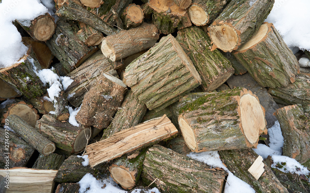 Naklejka premium A pile of firewood laying outside on the snow. 