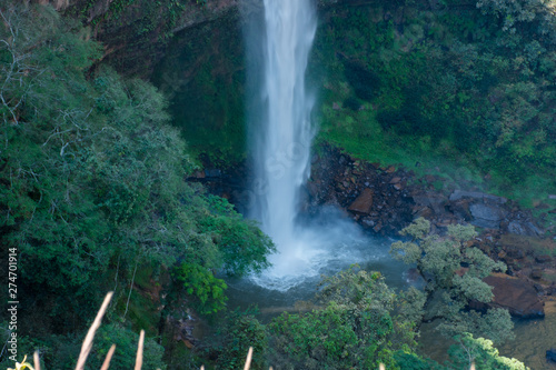 Waterfall in nature with native vegetation refers to healthy life.