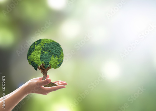 World forestry day, International day of forest, earth day, sustainable environment protection campaign and CSR natural conservation concept with tree globe growing on volunteer's woman hand