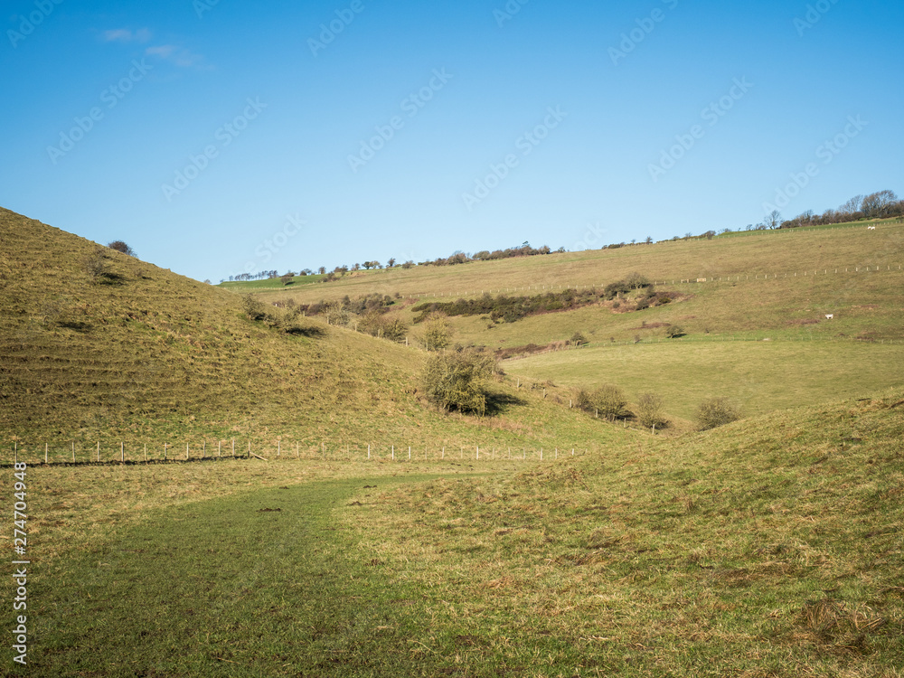 South Downs walk