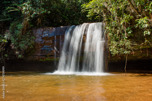 Waterfall in nature with native vegetation refers to healthy life.