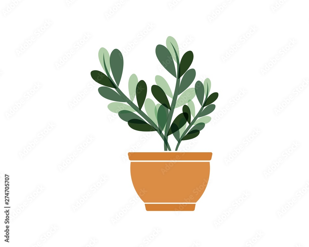 plant in pot illustration vector template