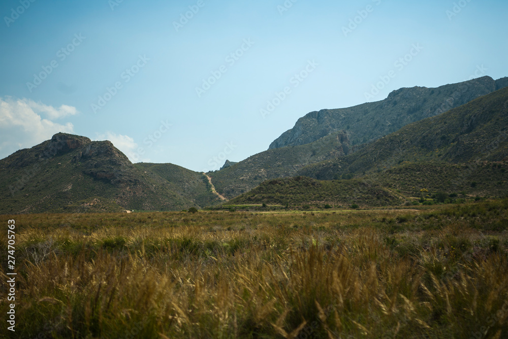 Fototapeta premium Spanish Landscape