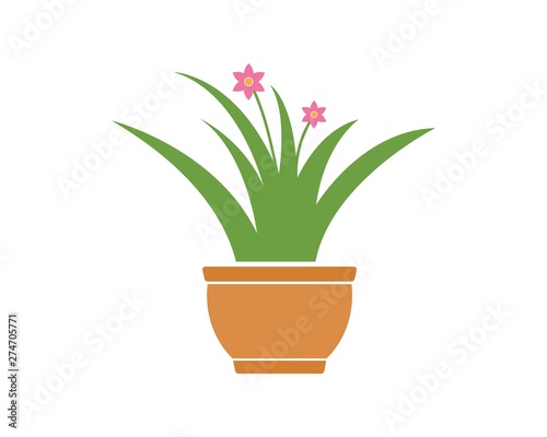 plant in pot illustration vector template