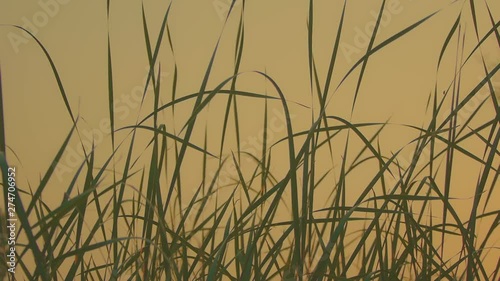 The bridge and sea view of Dalian City, Liaoning Province, China