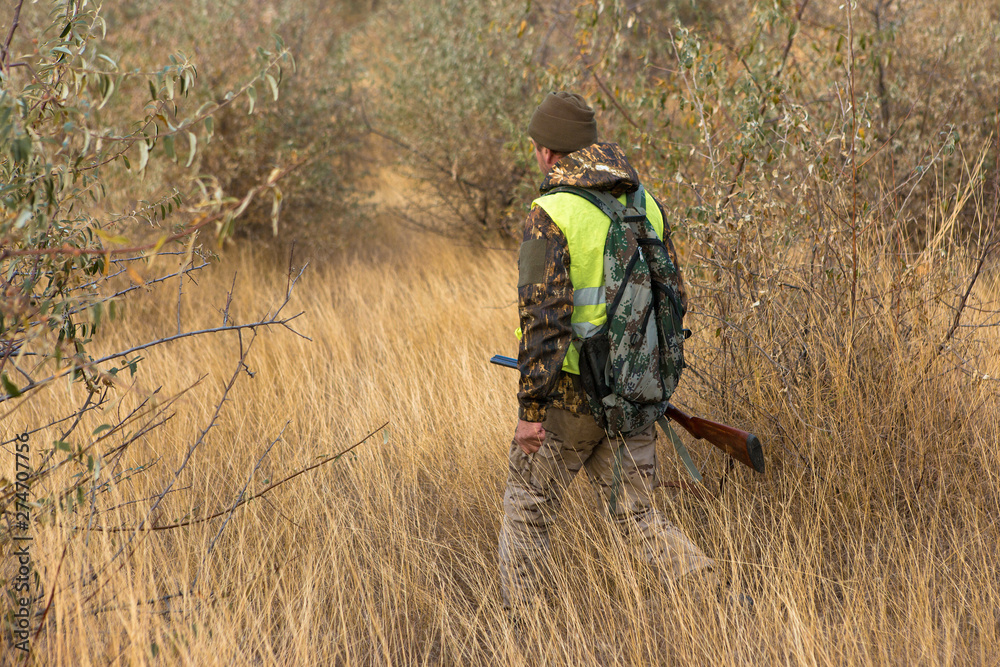 Hunter with a german drathaar and spaniel, pigeon hunting with dogs in reflective vests Hunter with a german drathaar and spaniel, pigeon hunting with dogs in reflective vests