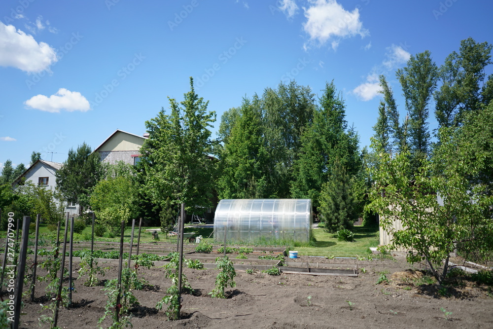 garden with greenhouse plants and beds