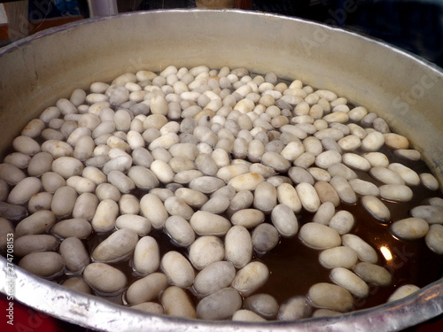 Silk worm cacoons in the water photo