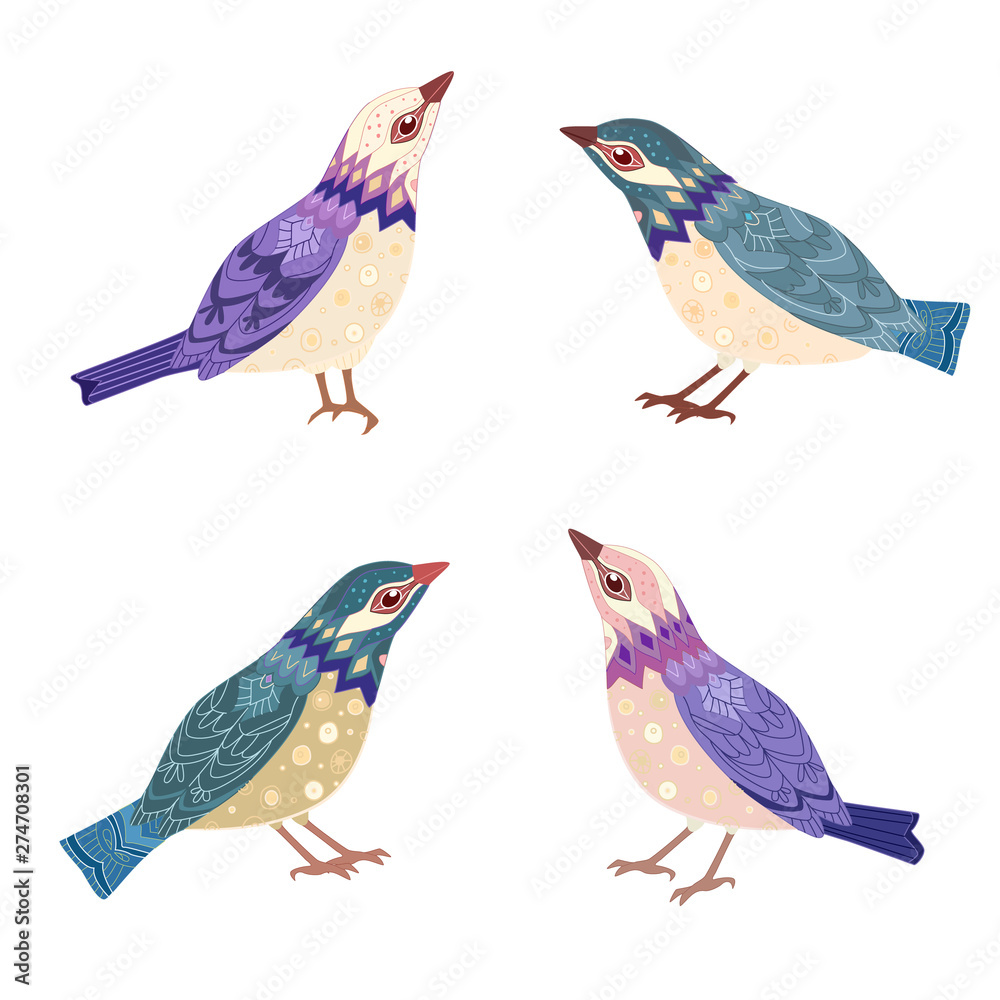 Obraz premium collection of very nice little birds for your design