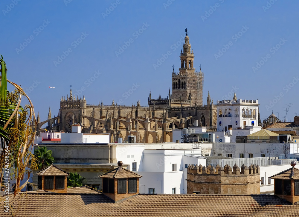 Fototapeta premium Seville Cathedral (Catedral de Santa Maria de la Sede de Sevilla) view from Tower of Gold(Torre del Oro), Andalucia, Spain.