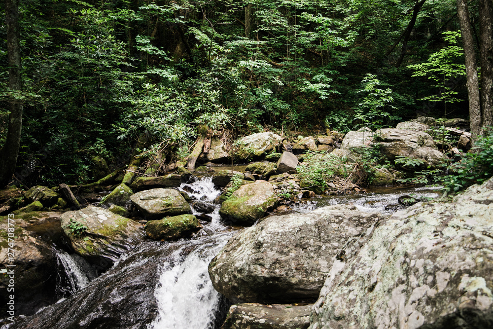 Fototapeta premium North Georgia Water Stream River National Park