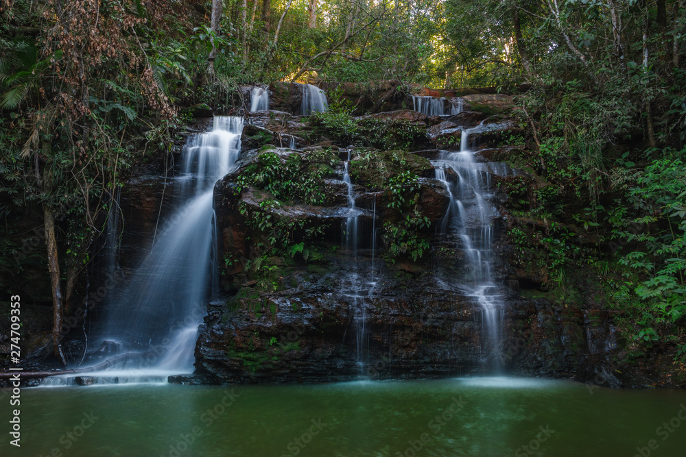 Obraz premium jungle waterfall