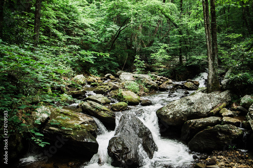 North Georgia Water Stream River National Park