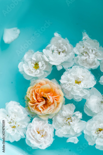 Tenderness floral texture of roses in water on blue background