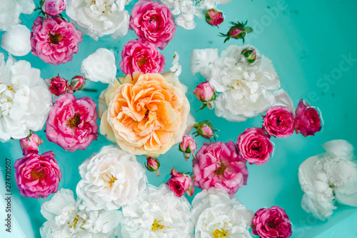 stunning floral texture of roses in water on blue background