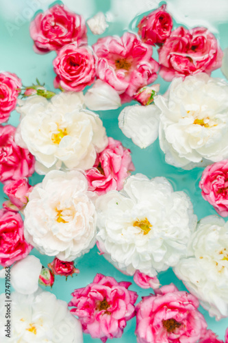 stunning floral texture of roses in water on blue background