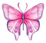 Cartoon watercolor illustration. Cute hand-drawn pink butterfly isolated on white background.