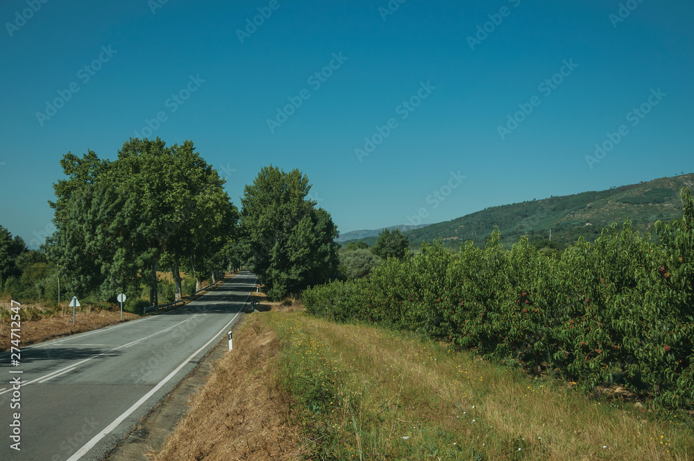 Road passing through rural landscape