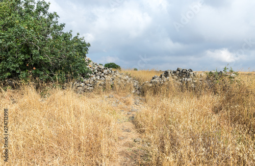 The remnants of the megalithic complex of the early Bronze Age  - Wheels of Spirits - Rujum Al-Hiri - Gilgal Rephaeem - on the Golan Heights in Israel