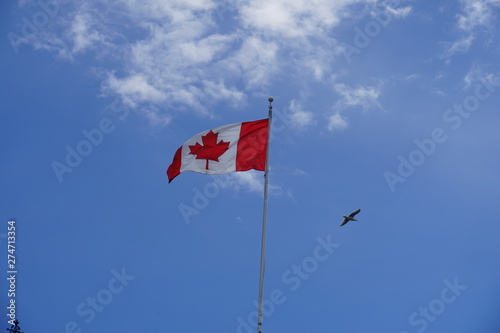 Kanadische Nationalfahne im Wind