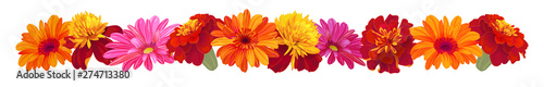 Panoramic view: roses, gerberas, daisies, marigold (tagetes). Horizontal border, garland flowers for Indian religion festive decoration. Botanical illustration, watercolor style, vintage, vector