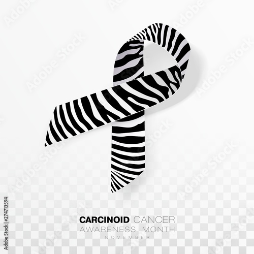 Carcinoid Cancer Awareness Month. Zebra Stripe Color Ribbon Isolated On Transparent Background. Vector Design Template For Poster.