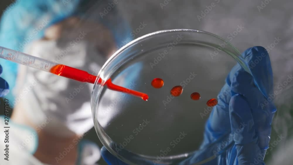 researcher pipetts samples in well microplate. medical test of blood or dna.