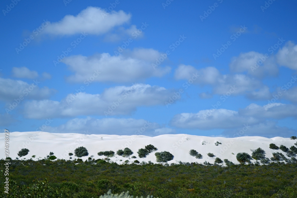 Obraz premium View of white sand dunes near Cervantes, Western Australia
