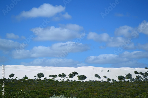 View of white sand dunes near Cervantes, Western Australia