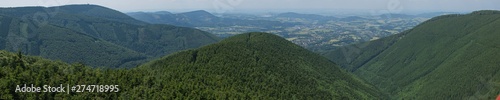 View from the observation tower on canopy walk 